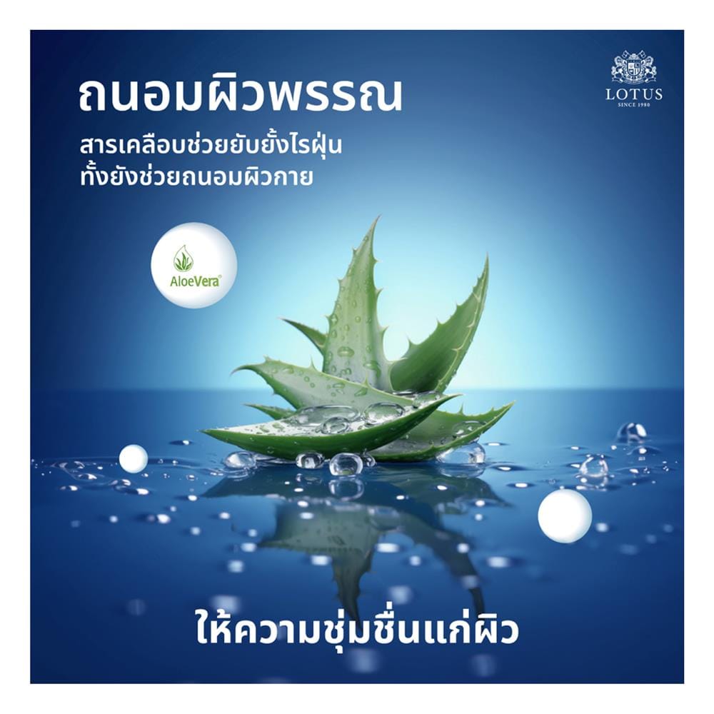 ที่นอนพ็อกเก็ตสปริง 3.5 ฟุต สุญญากาศ LOTUS รุ่น ASLEEP II พร้อมหมอนหนุน 1 ใบ