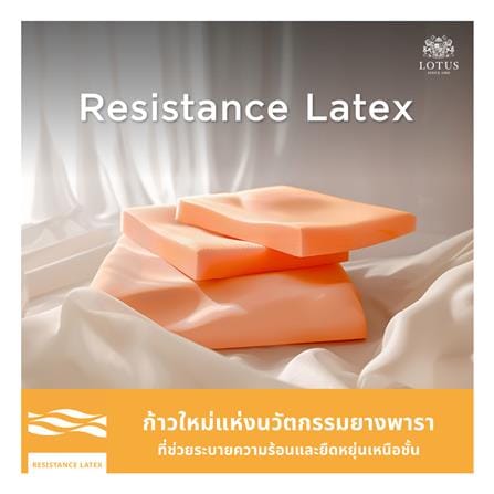 ที่นอนพ็อกเก็ตสปริง 3.5 ฟุต สุญญากาศ LOTUS รุ่น ASLEEP II พร้อมหมอนหนุน 1 ใบ_5