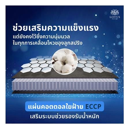 ที่นอนพ็อกเก็ตสปริง 3.5 ฟุต สุญญากาศ LOTUS รุ่น ASLEEP II พร้อมหมอนหนุน 1 ใบ_10