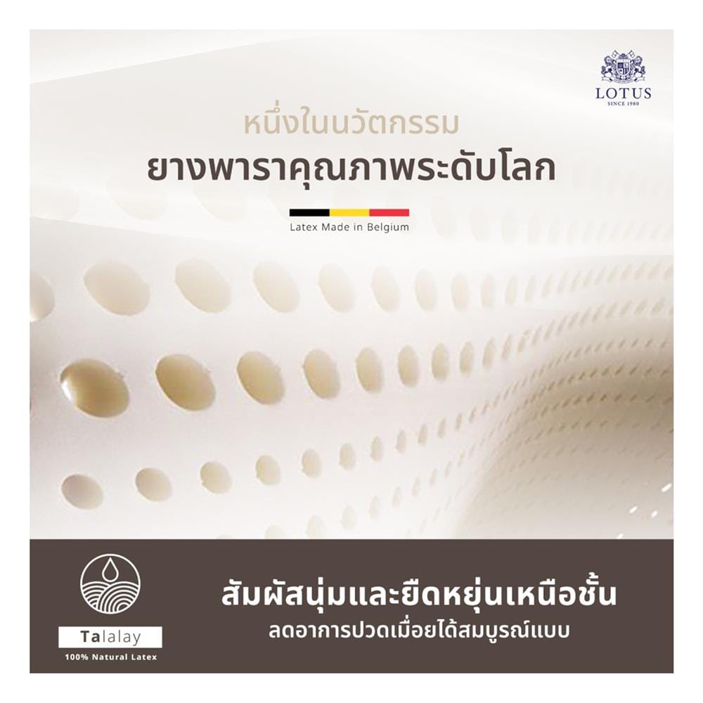 ที่นอนพ็อกเก็ตสปริง 6 ฟุต สุญญากาศ LOTUS รุ่น ASLEEP III พร้อมหมอนหนุน 2 ใบ