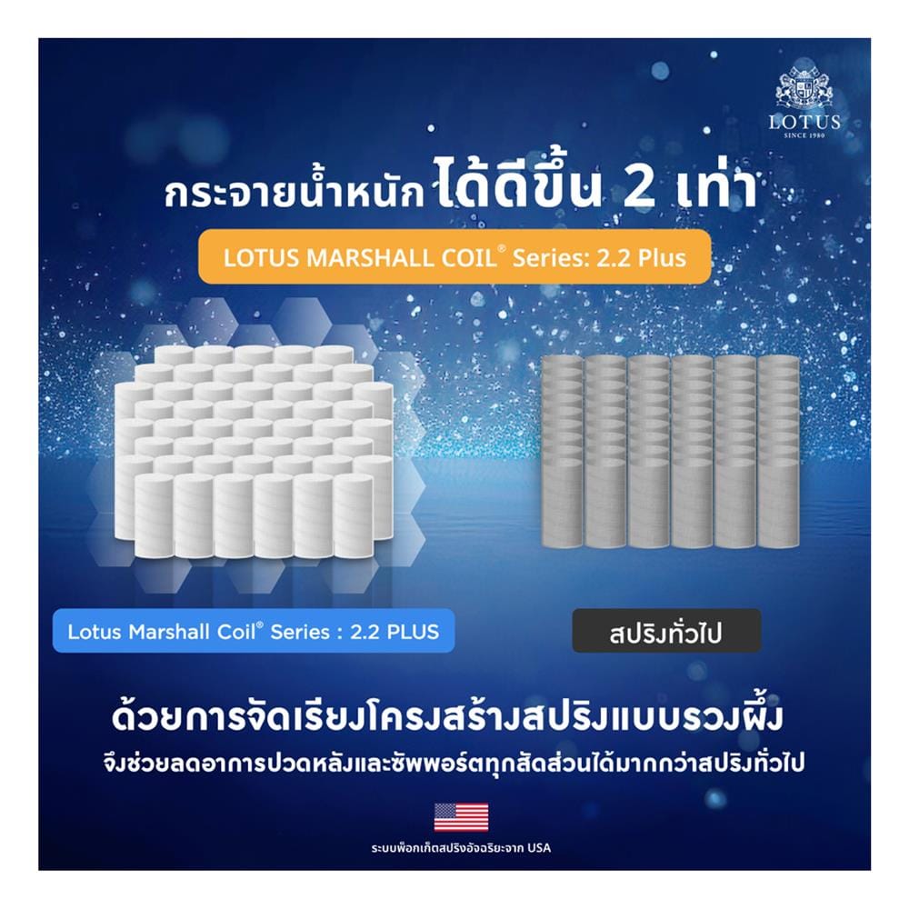 ที่นอนพ็อกเก็ตสปริง 3.5 ฟุต สุญญากาศ LOTUS รุ่น ASLEEP I พร้อมหมอนหนุน 1 ใบ