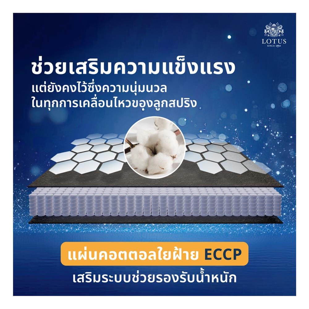 ที่นอนพ็อกเก็ตสปริง 3.5 ฟุต สุญญากาศ LOTUS รุ่น ASLEEP I พร้อมหมอนหนุน 1 ใบ