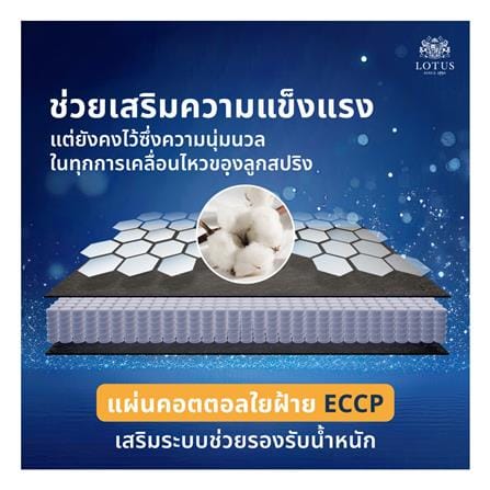 ที่นอนพ็อกเก็ตสปริง 6 ฟุต สุญญากาศ LOTUS รุ่น ASLEEP I พร้อมหมอนหนุน 2 ใบ_10