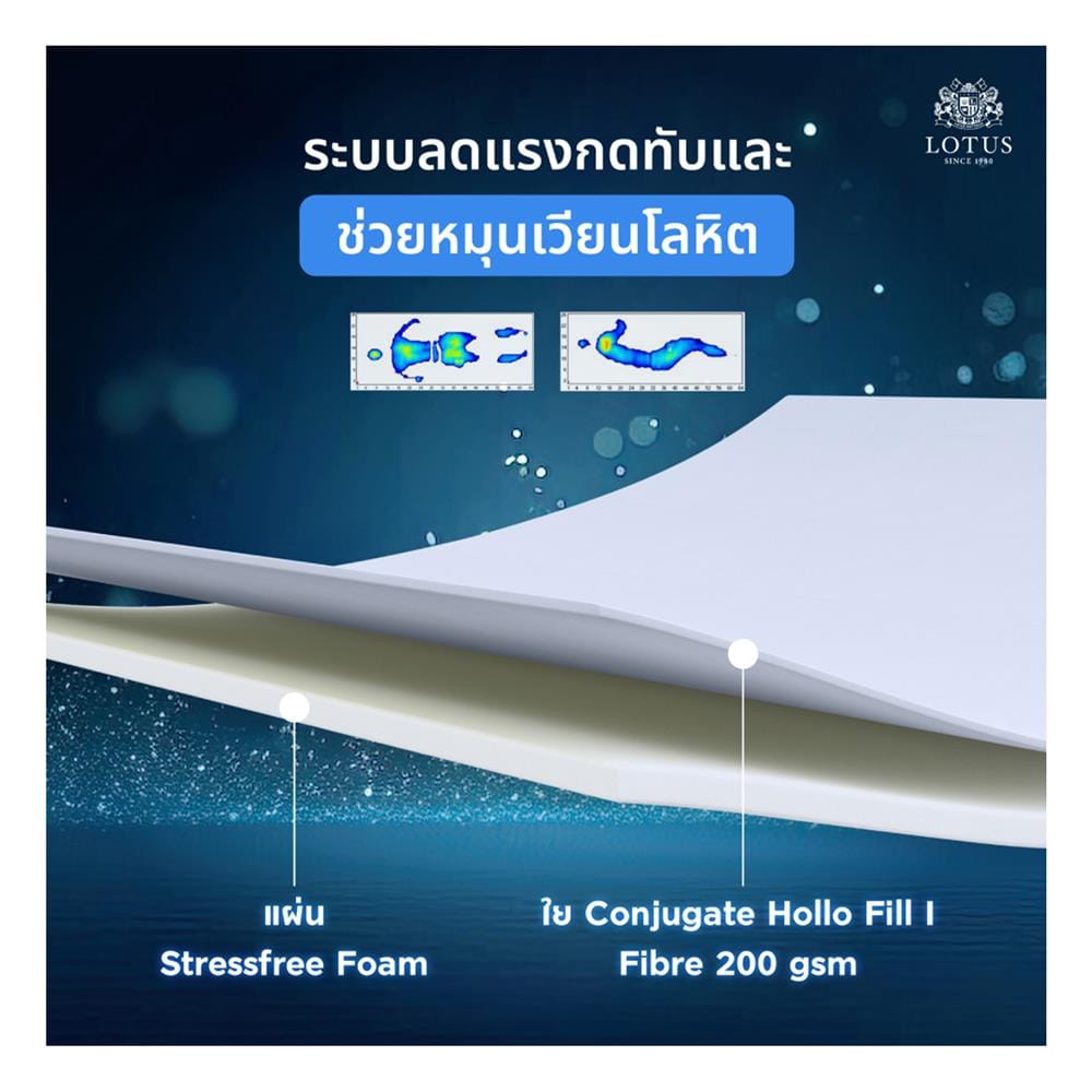 ที่นอนพ็อกเก็ตสปริง 5 ฟุต สุญญากาศ LOTUS รุ่น ASLEEP III พร้อมหมอนหนุน 2 ใบ