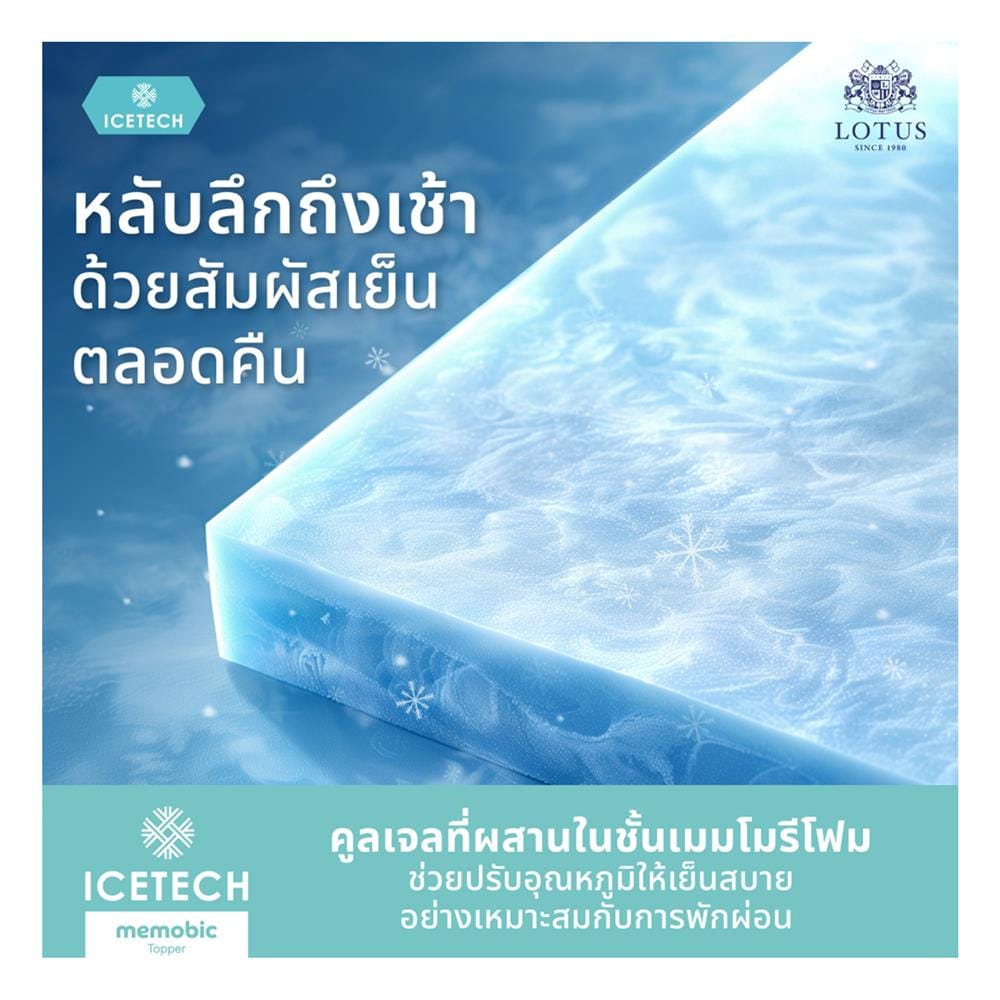 ที่นอนพ็อกเก็ตสปริง 5 ฟุต สุญญากาศ LOTUS รุ่น ASLEEP III พร้อมหมอนหนุน 2 ใบ