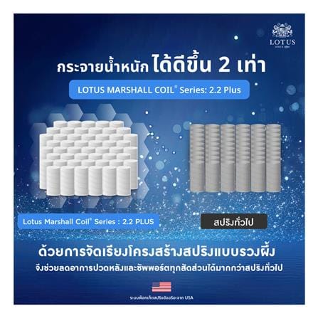 ที่นอนพ็อกเก็ตสปริง 5 ฟุต สุญญากาศ LOTUS รุ่น ASLEEP II พร้อมหมอนหนุน 2 ใบ_7