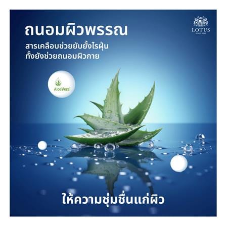 ที่นอนพ็อกเก็ตสปริง 5 ฟุต สุญญากาศ LOTUS รุ่น ASLEEP II พร้อมหมอนหนุน 2 ใบ_13