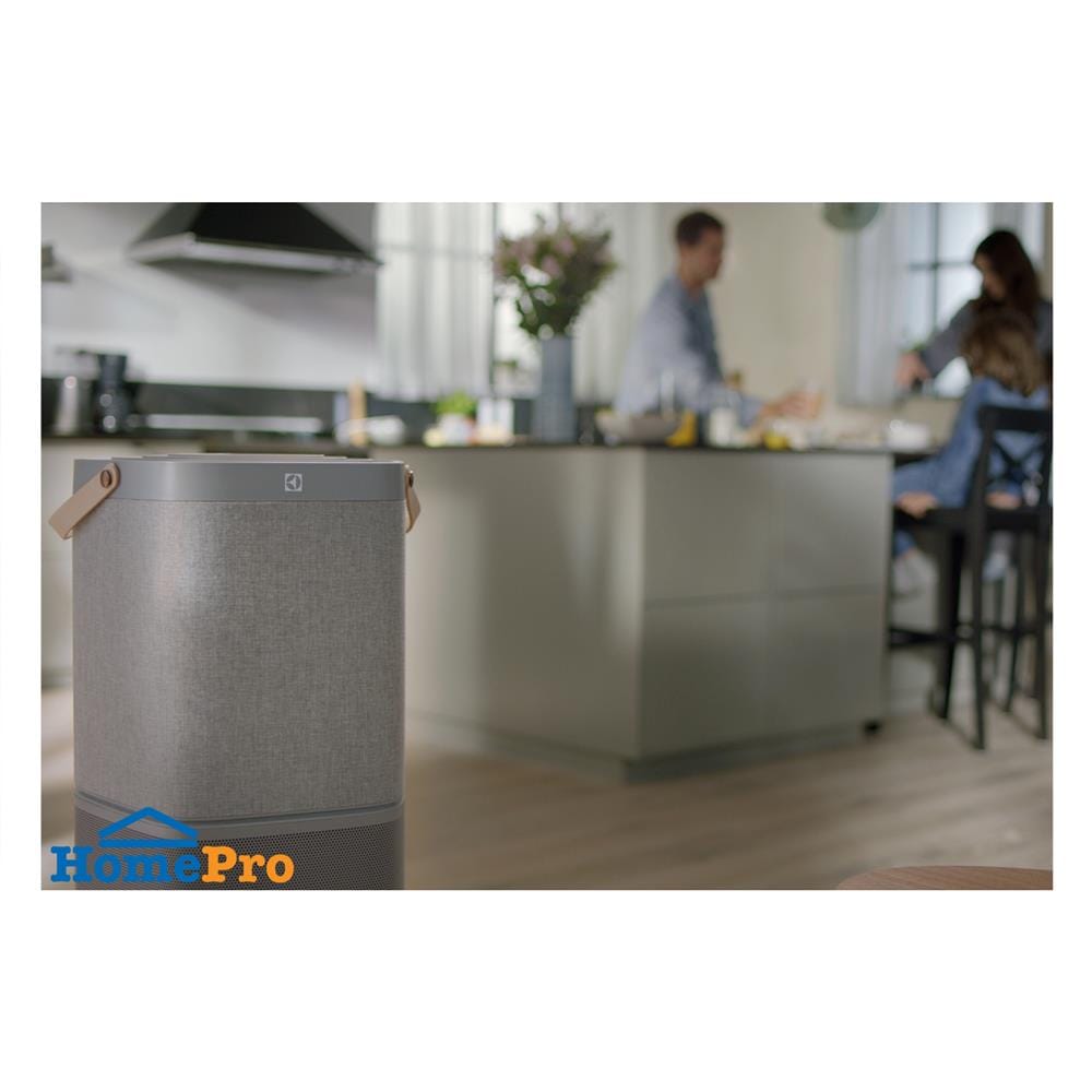 แผ่นกรองเครื่องฟอกอากาศ ELECTROLUX EFDCLN4