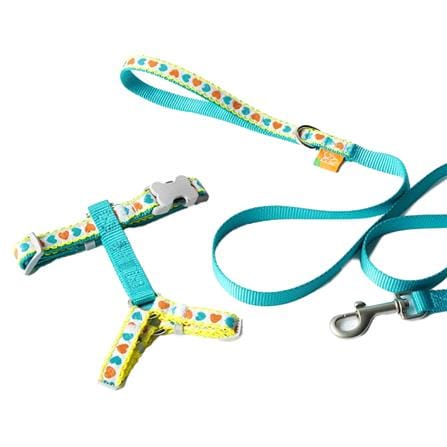 เซ็ตสายรัดอกสัตว์เลี้ยง พร้อมสายจูง KAFBO GARDEN SIZE S สีเขียว_0