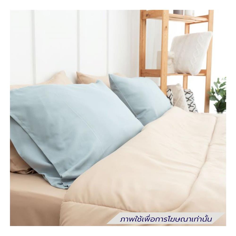 ชุดผ้าปูที่นอน 6 ฟุต (ชุด 6 ชิ้น) SANTA BEDDING สี CREAM/LIGHT BLUE