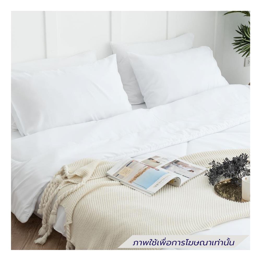 ชุดผ้าปูที่นอน 5 ฟุต (ชุด 6 ชิ้น) SANTA BEDDING สีขาว