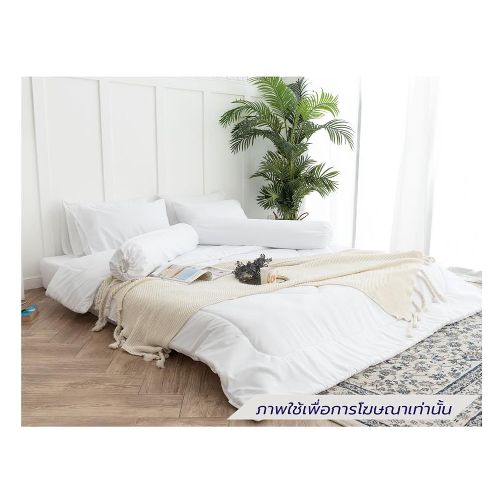 ชุดผ้าปูที่นอน 5 ฟุต (ชุด 6 ชิ้น) SANTA BEDDING สีขาว