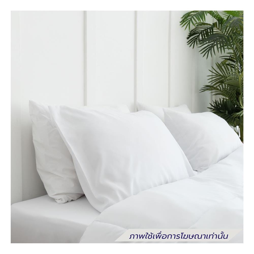 ชุดผ้าปูที่นอน 5 ฟุต (ชุด 6 ชิ้น) SANTA BEDDING สีขาว