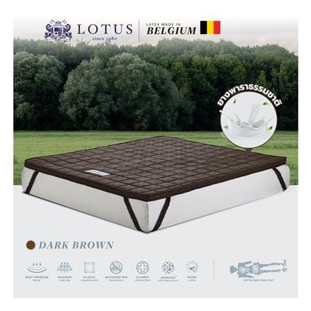 แผ่นรองนอน 3.5 ฟุต LOTUS FORESTEX II สี DARK BROWN_3