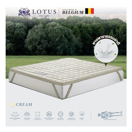 แผ่นรองนอน 3 ฟุต LOTUS FORESTEX II สี CREAM_3