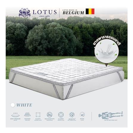 แผ่นรองนอน 5 ฟุต LOTUS FORESTEX II สี WHITE_3