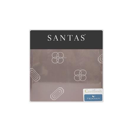ชุดผ้าปูที่นอน 6 ฟุต (ชุด 5 ขิ้น) SANTAS TEXIMA BLITHE GR_5