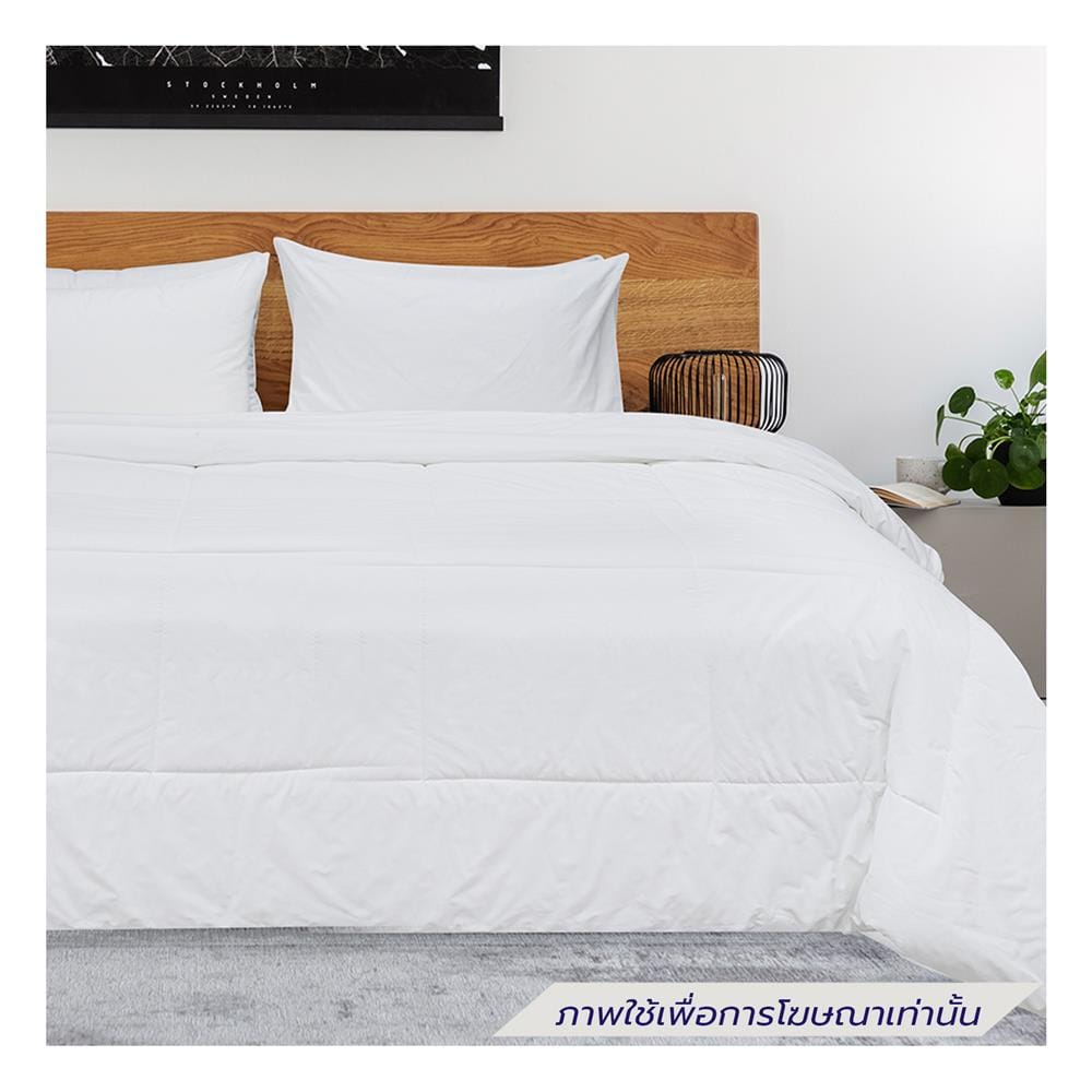 ผ้าปูที่นอน 90X110 นิ้ว PICASSO COTTON 560TC สี WHITE