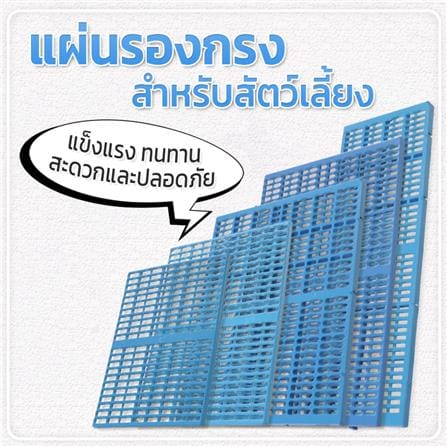 แผ่นรองกรง PETUS 48x34 ซม. สีฟ้า_1