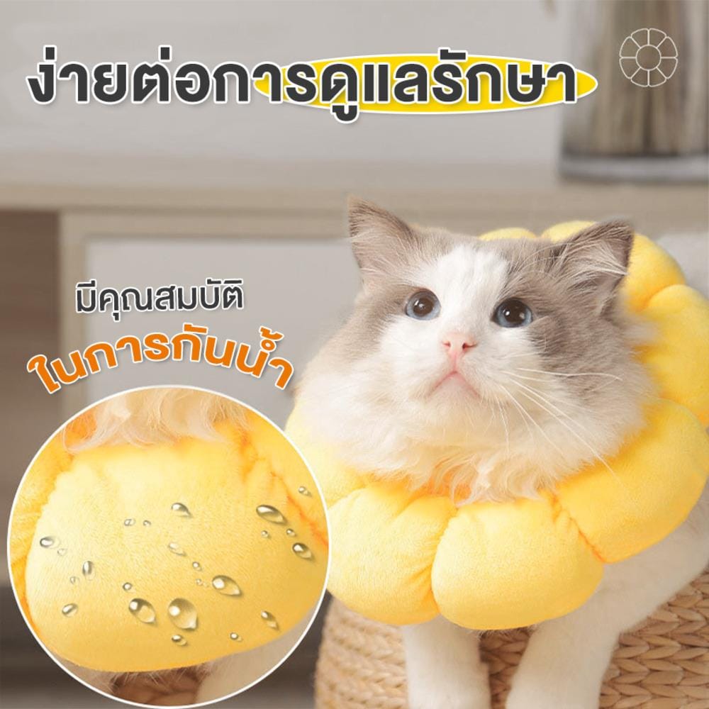 ปลอกคอสัตว์เลี้ยงกันเลีย PETUS รูปทานตะวัน ไซซ์ L สีเหลือง