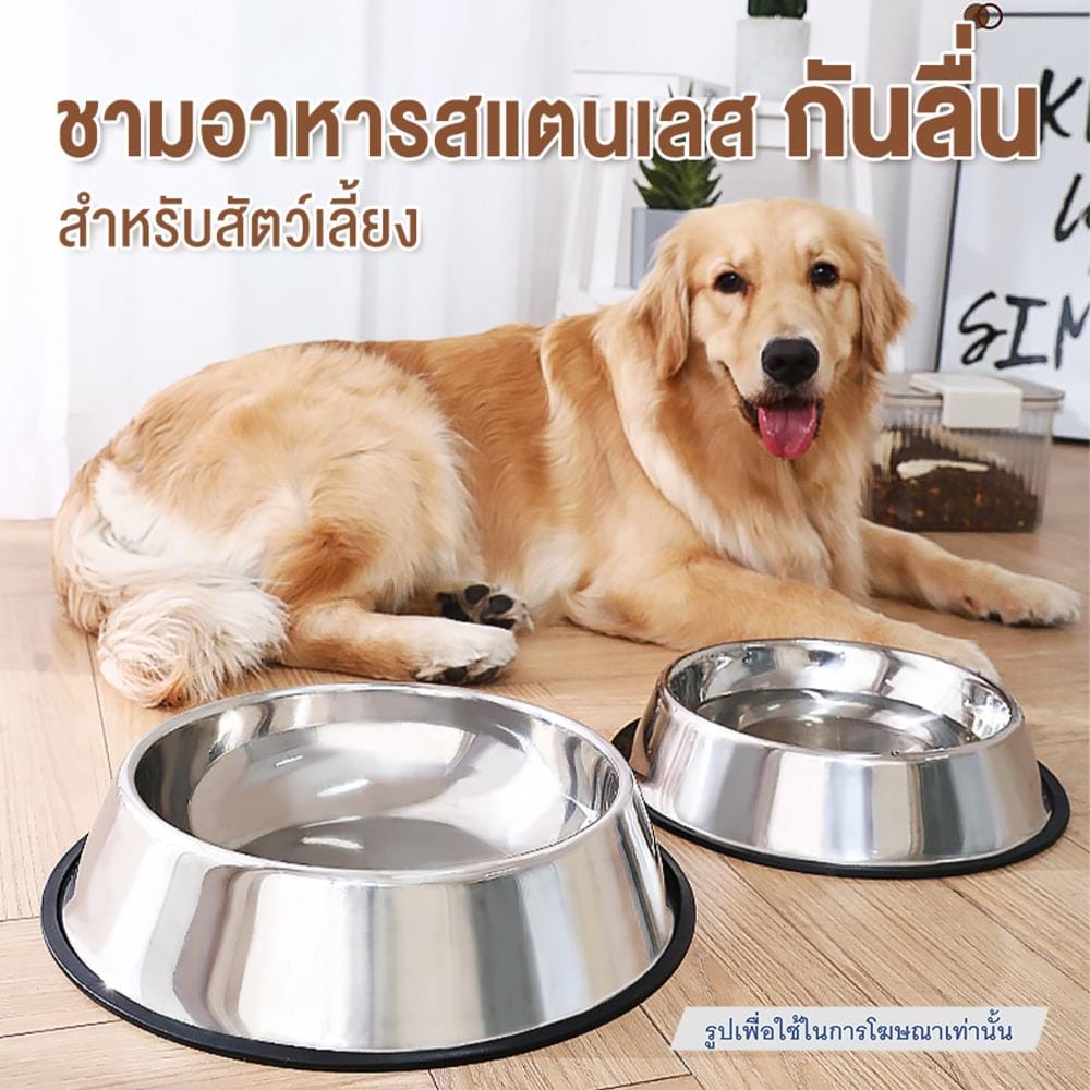 ชามอาหารสัตว์เลี้ยง กันลื่น PETUS 30 ซม. สีสเตนเลส