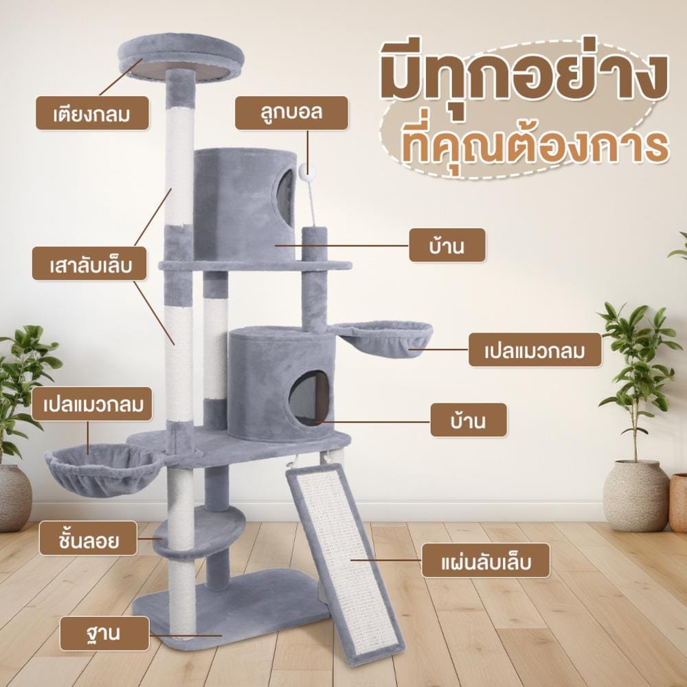 คอนโดแมว แบบผ้า PETUS P170 160X50 ซม.