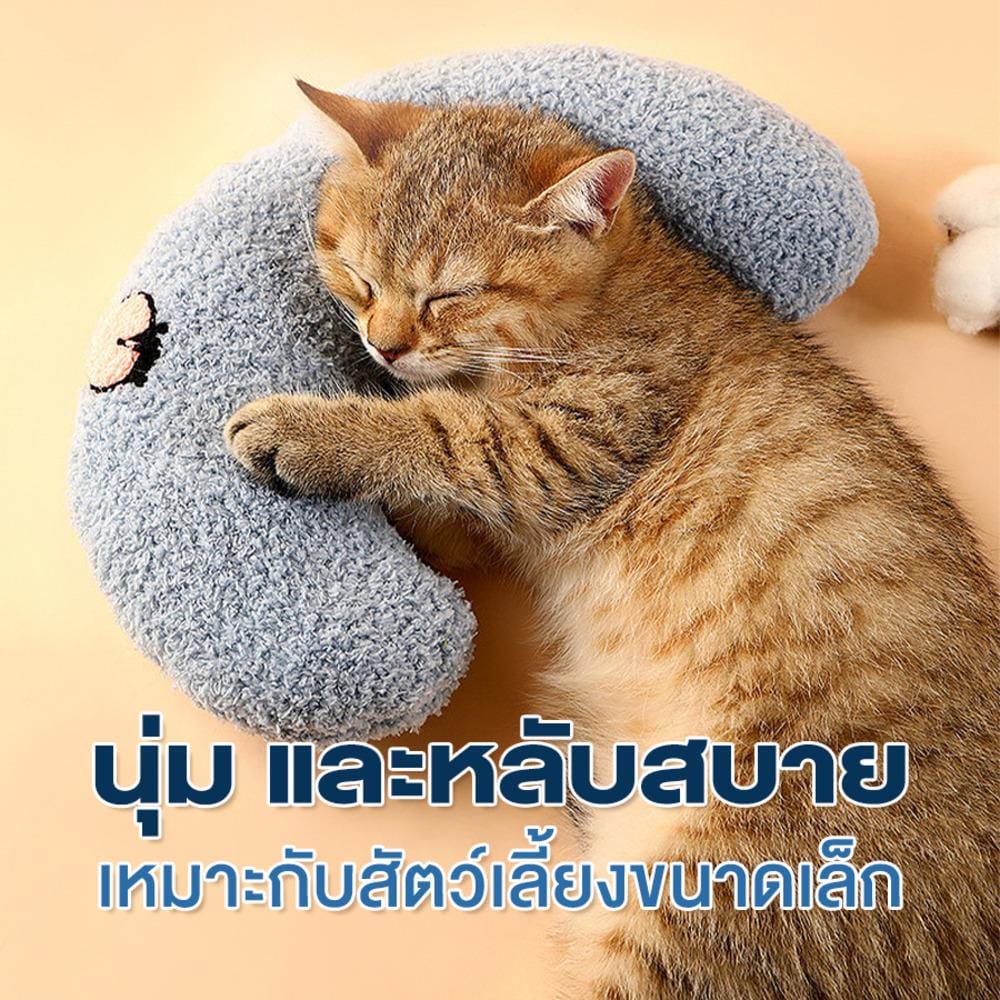 หมอนรองคอพระจันทร์ PETUS สีฟ้า