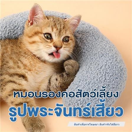 หมอนรองคอพระจันทร์ PETUS สีขาว_1