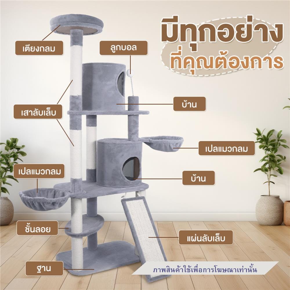 คอนโดแมว แบบผ้า PETUS P171 143X60 ซม.