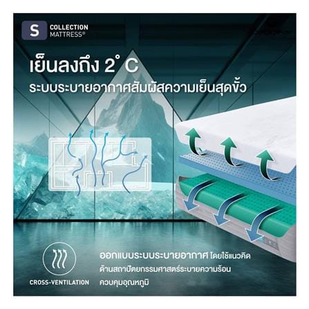 ที่นอนเมมโมรี่โฟม 3.5 ฟุต BEDGEAR พร้อมหมอนหนุน 1 ใบ_6