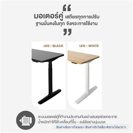 โต๊ะปรับระดับไฟฟ้า ERGOTREND ELEVIO 140 ซม. สีอาติซานโอ๊ค/ขาว_5