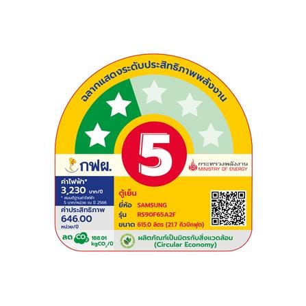ตู้เย็น SIDE BY SIDE SAMSUNG RS90F65A2FST 21.7 คิว สีดำ_9