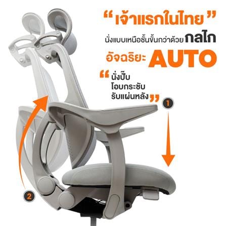 เก้าอี้สุขภาพ ERGOTREND ERGOMATIC PLUS สีเทา_3