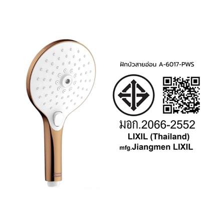 ชุดฝักบัวสายอ่อน 3 ระดับ AMERICAN STANDARD A-6017-PWS สีทอง_2