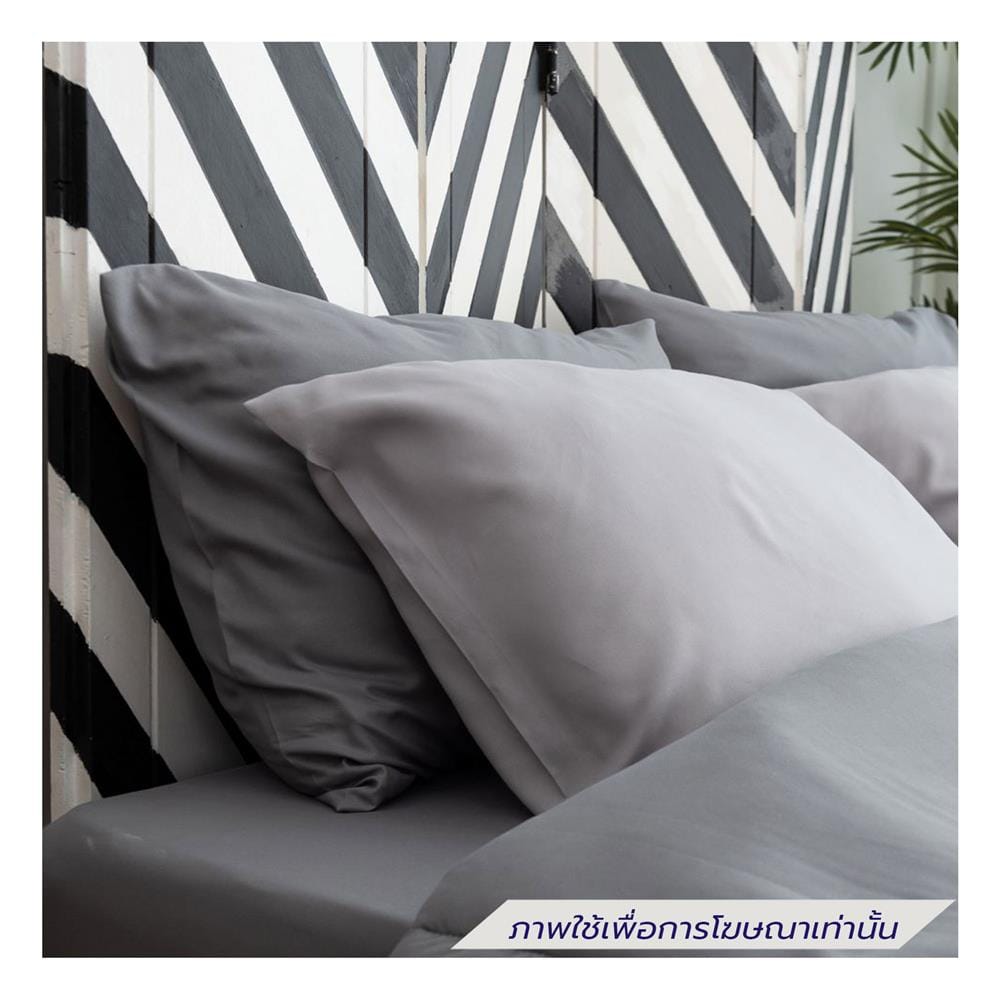 ชุดผ้าปูที่นอน 5 ฟุต (ชุด 6 ชิ้น) SANTA BEDDING สี DARK GREY/LIGHT GREY