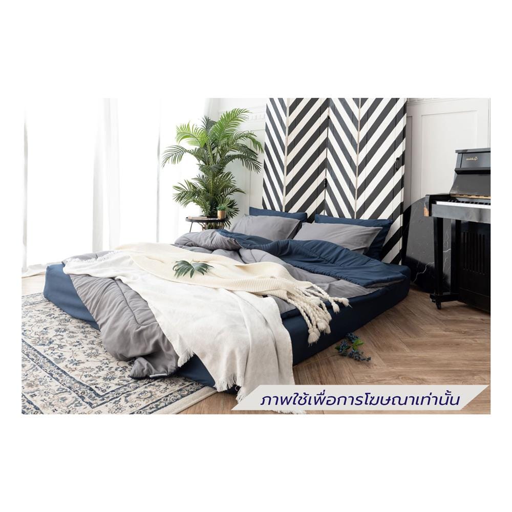 ชุดผ้าปูที่นอน 5 ฟุต (ชุด 6 ชิ้น) SANTA BEDDING สี NAVY BLUE/DARK GREY
