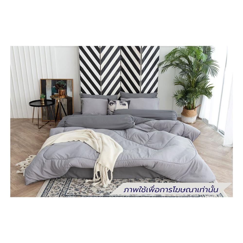 ชุดผ้าปูที่นอน 6 ฟุต (ชุด 6 ชิ้น) SANTA BEDDING สี DARK GREY/LIGHT GREY