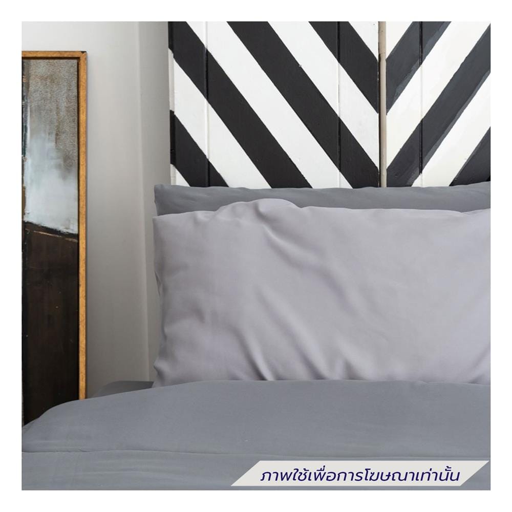 ชุดผ้าปูที่นอน 6 ฟุต (ชุด 6 ชิ้น) SANTA BEDDING สี DARK GREY/LIGHT GREY