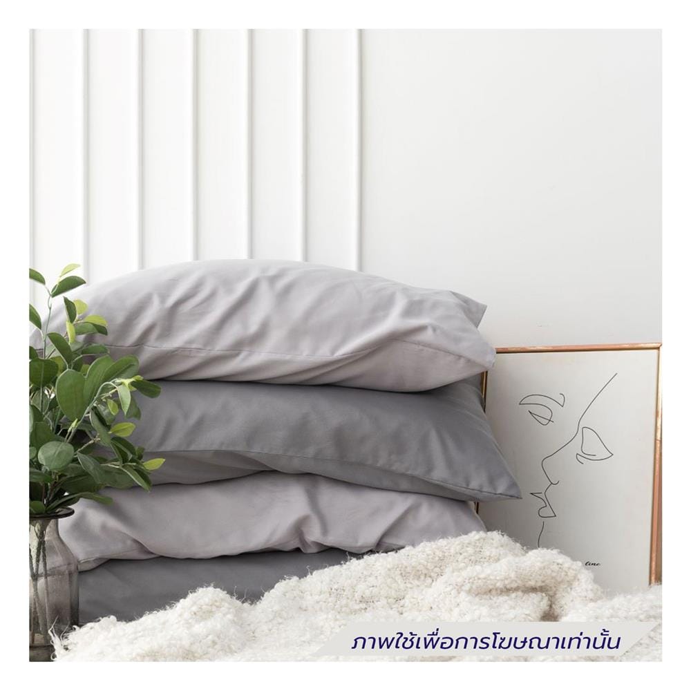 ชุดผ้าปูที่นอน 6 ฟุต (ชุด 6 ชิ้น) SANTA BEDDING สี DARK GREY/LIGHT GREY