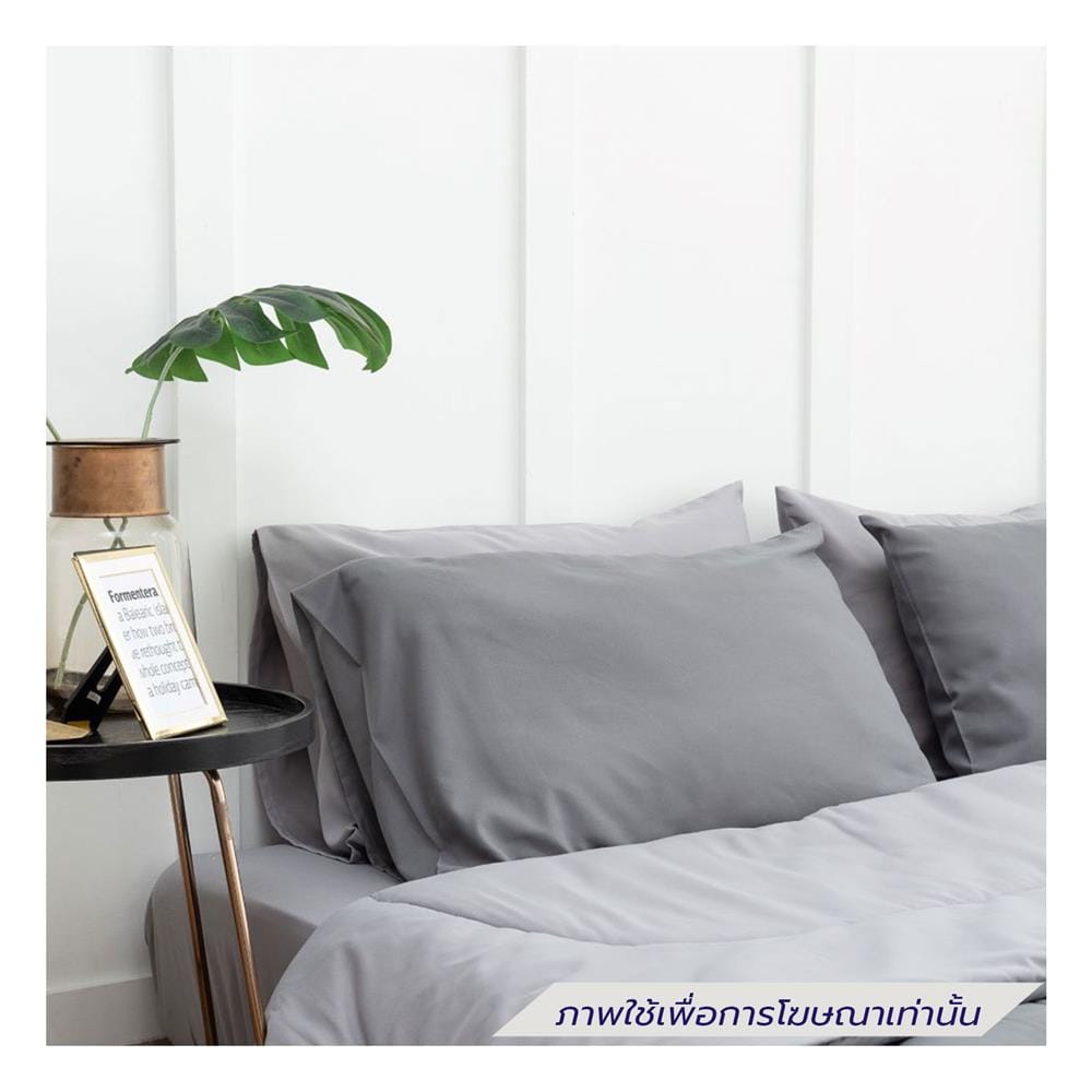 ชุดผ้าปูที่นอน 6 ฟุต (ชุด 6 ชิ้น) SANTA BEDDING สี LIGHT GREY/DARK GREY