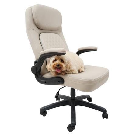เก้าอี้สำนักงาน MODENA PET FRIENDLY PU สีสโตนครีม_5