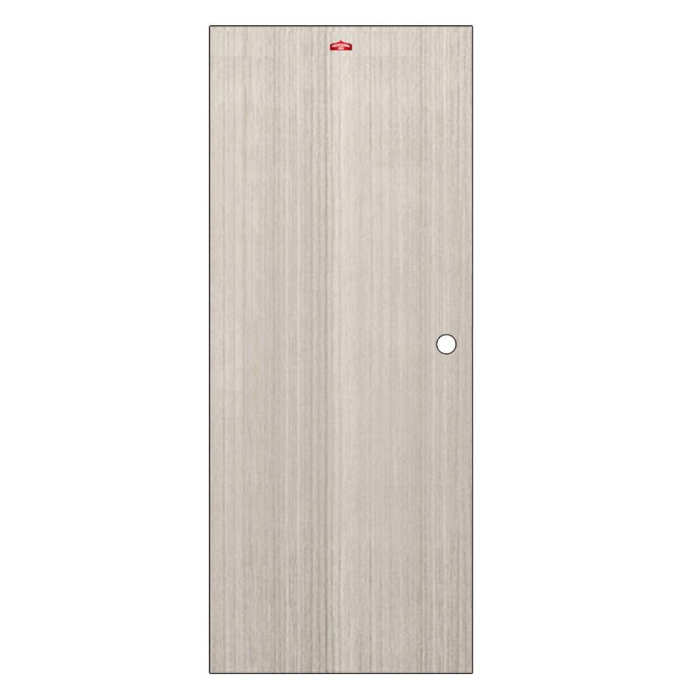 ประตูภายในเหล็ก เจาะลูกบิด PROFESSIONAL DOOR D2-41 89.2x199.4 ซม. สีเทา