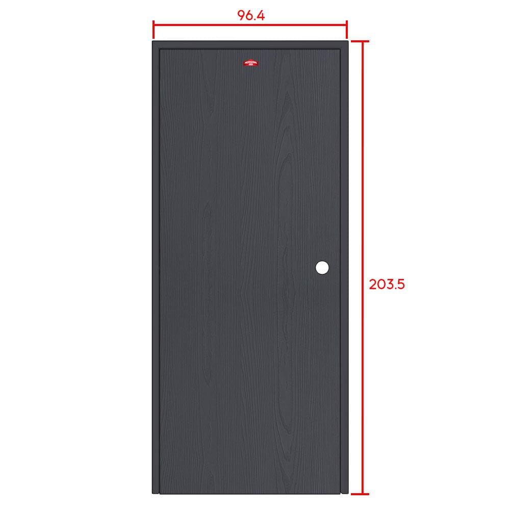 ชุดประตูเหล็ก เจาะลูกบิด PROFESSIONAL DOOR FR2RBK+WD2BK 96.4x203.5 ซม. สีเทาเม็ดทราย