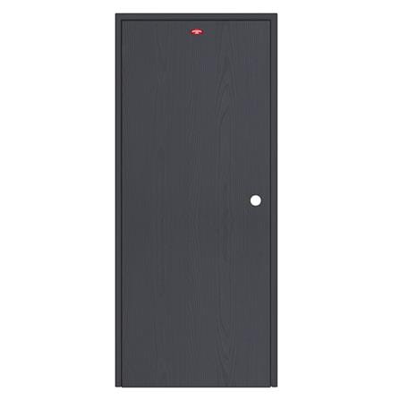 ชุดประตูเหล็ก เจาะลูกบิด PROFESSIONAL DOOR FR2RBK+WD2BK 96.4x203.5 ซม. สีเทาเม็ดทราย_0