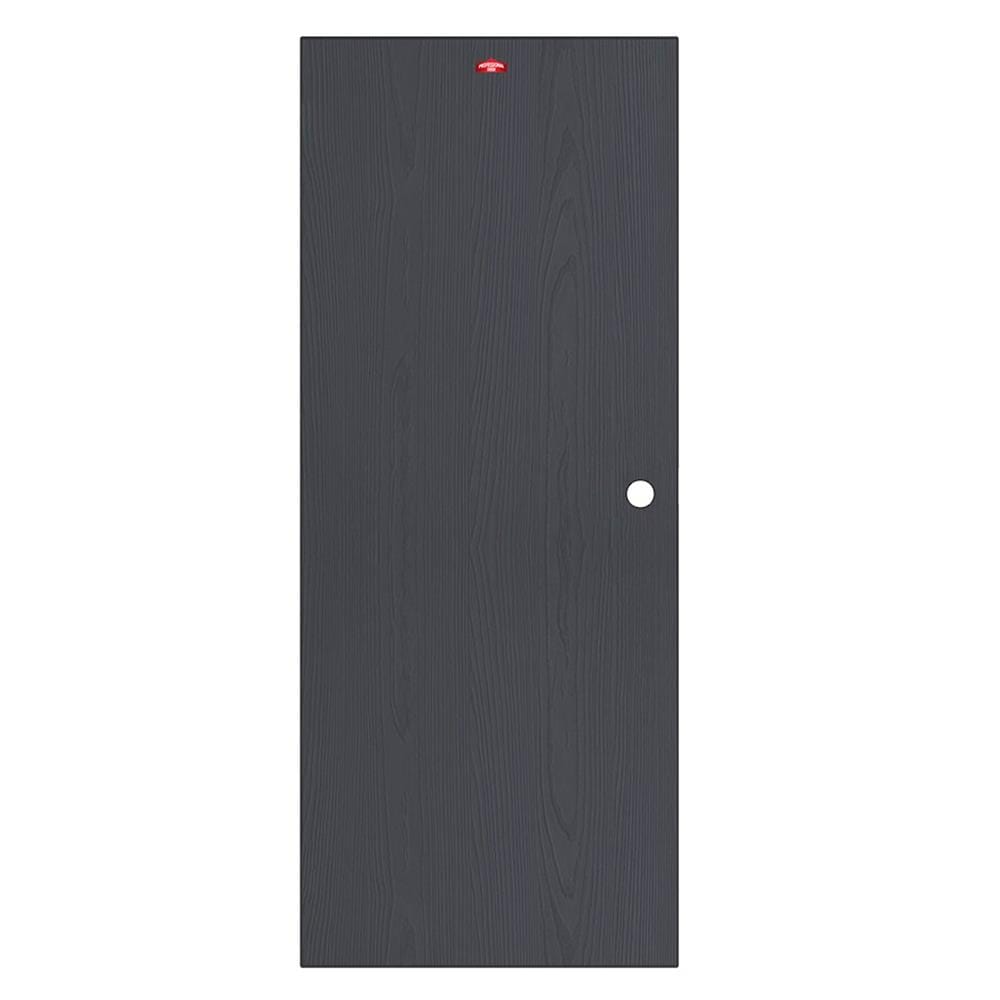 ประตูภายนอกเหล็ก เจาะลูกบิด PROFESSIONAL DOOR WD2BK 89.2x199.4 ซม. สีเทาเม็ดทราย