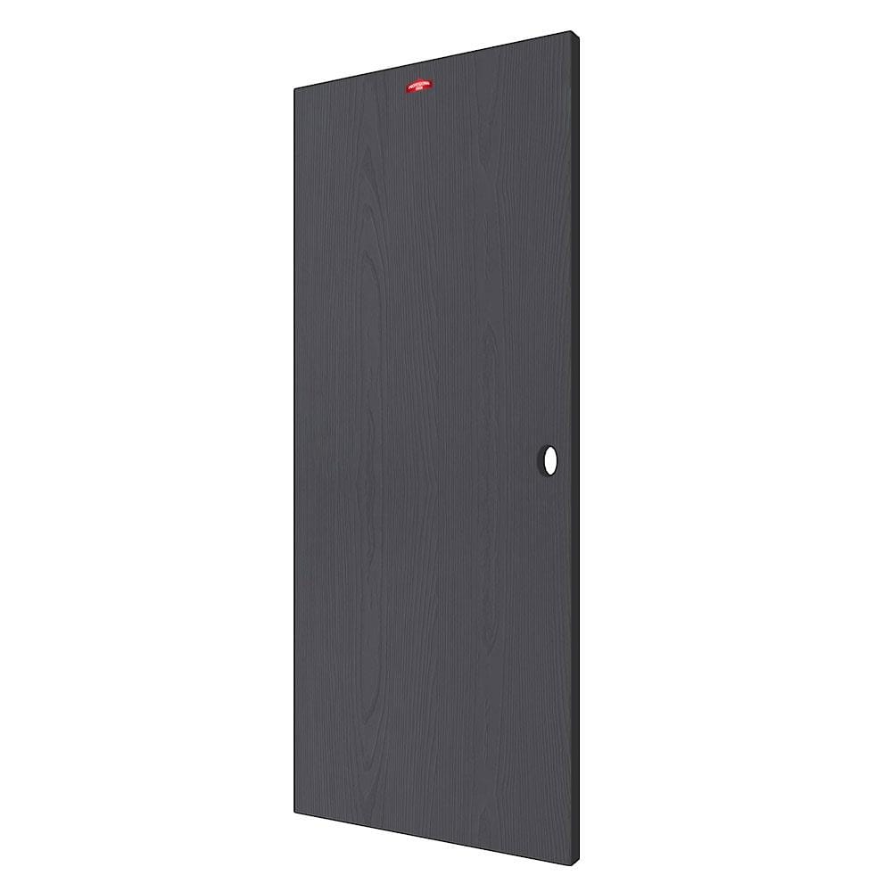 ประตูภายนอกเหล็ก เจาะลูกบิด PROFESSIONAL DOOR WD2BK 89.2x199.4 ซม. สีเทาเม็ดทราย