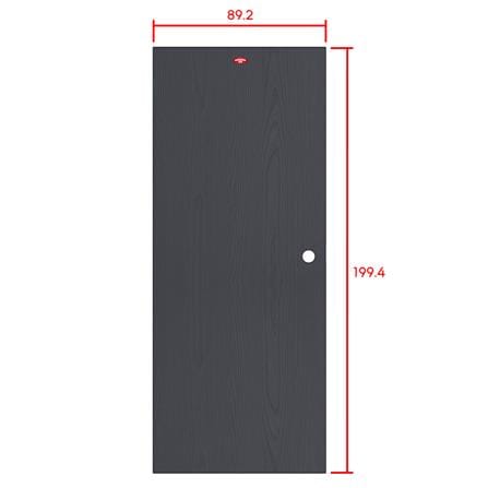 ประตูภายนอกเหล็ก เจาะลูกบิด PROFESSIONAL DOOR WD2BK 89.2x199.4 ซม. สีเทาเม็ดทราย_6