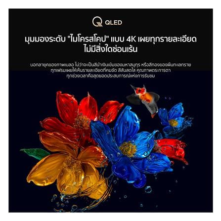 ทีวี คิวแอลอีดี 43 นิ้ว TCL (4K, QLED, GOOGLE TV) 43P7K_10