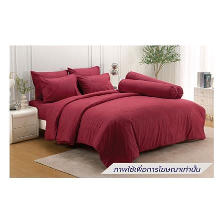 ชุดผ้าปูที่นอน 5 ฟุต (ชุด 6 ชิ้น) TULIP DELIGHT 60240-DL592_0
