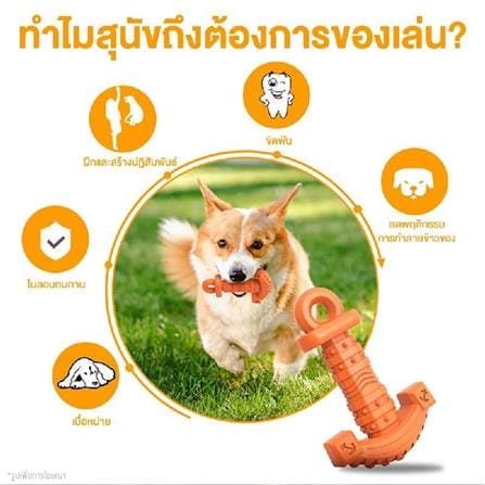 ของเล่นสุนัข MOMOVIDA DT-14 สีส้ม_2